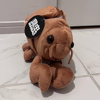 Amazon.co.jp: セミの抜け殻からセミ ぬいぐるみ 昆虫マニアック